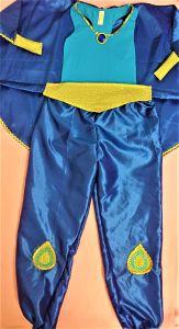 Kids Costumes to Hire - Jasmine - Dark Blue - Girl